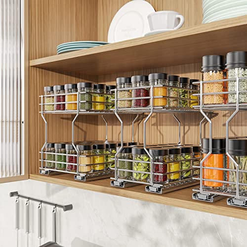 Pull Down Cabinet Organizer, 2 Tiers Spice and Dishes Pull Out